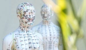 acupunctuur-rotterdam-indicaties